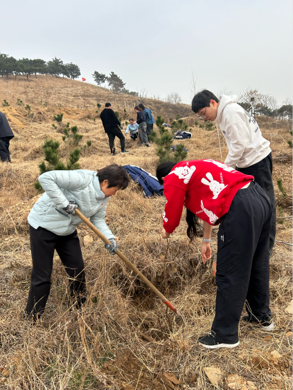 1741841096543263.png 图片6.png