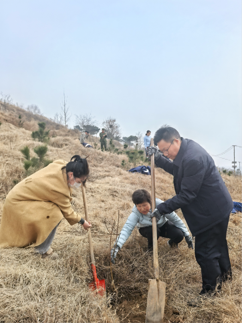 1741841109571365.png 图片7.png